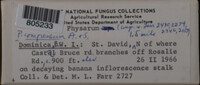 Image Associated With the Occurence